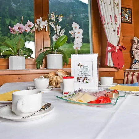 Fortuna Guest house 3*